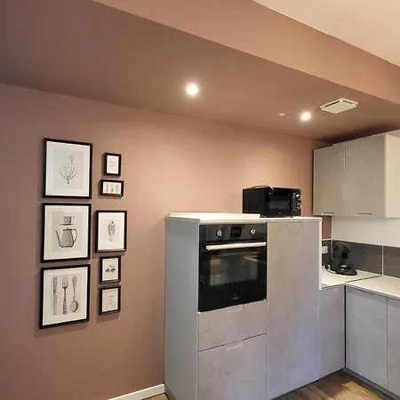 Escapade A Dans Beau T2 Avec Terrasse - Proche Gare Et Centre * Lourdes