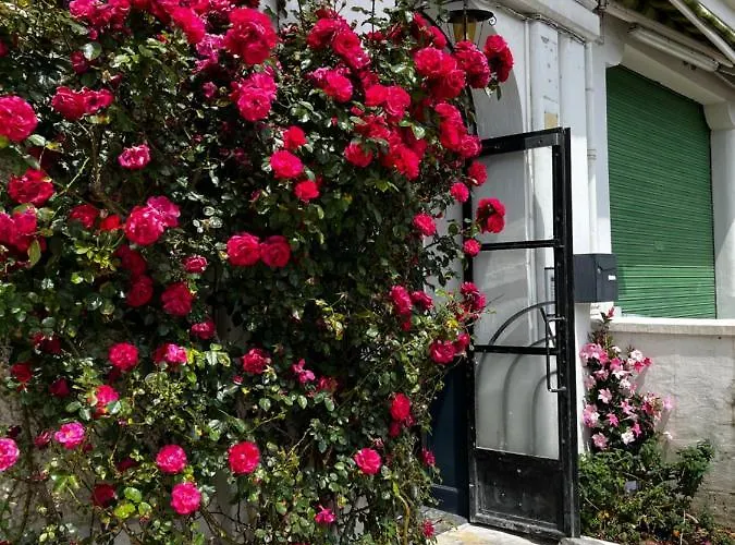 Escapade à Dans Beau T2 Avec Terrasse - Proche Gare Et Centre *
